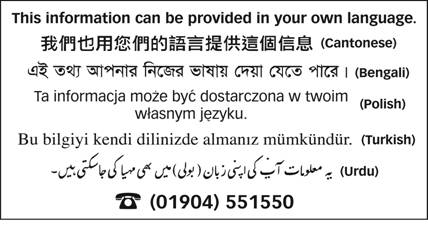 LanguagePanel (5 languages) jpg