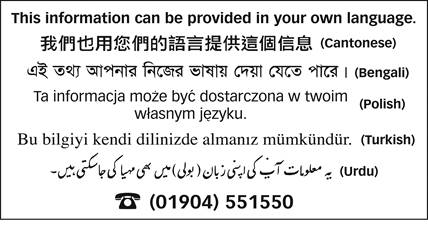 LanguagePanel (5 languages) jpg