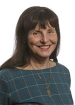Profile image for Councillor Anne Hook